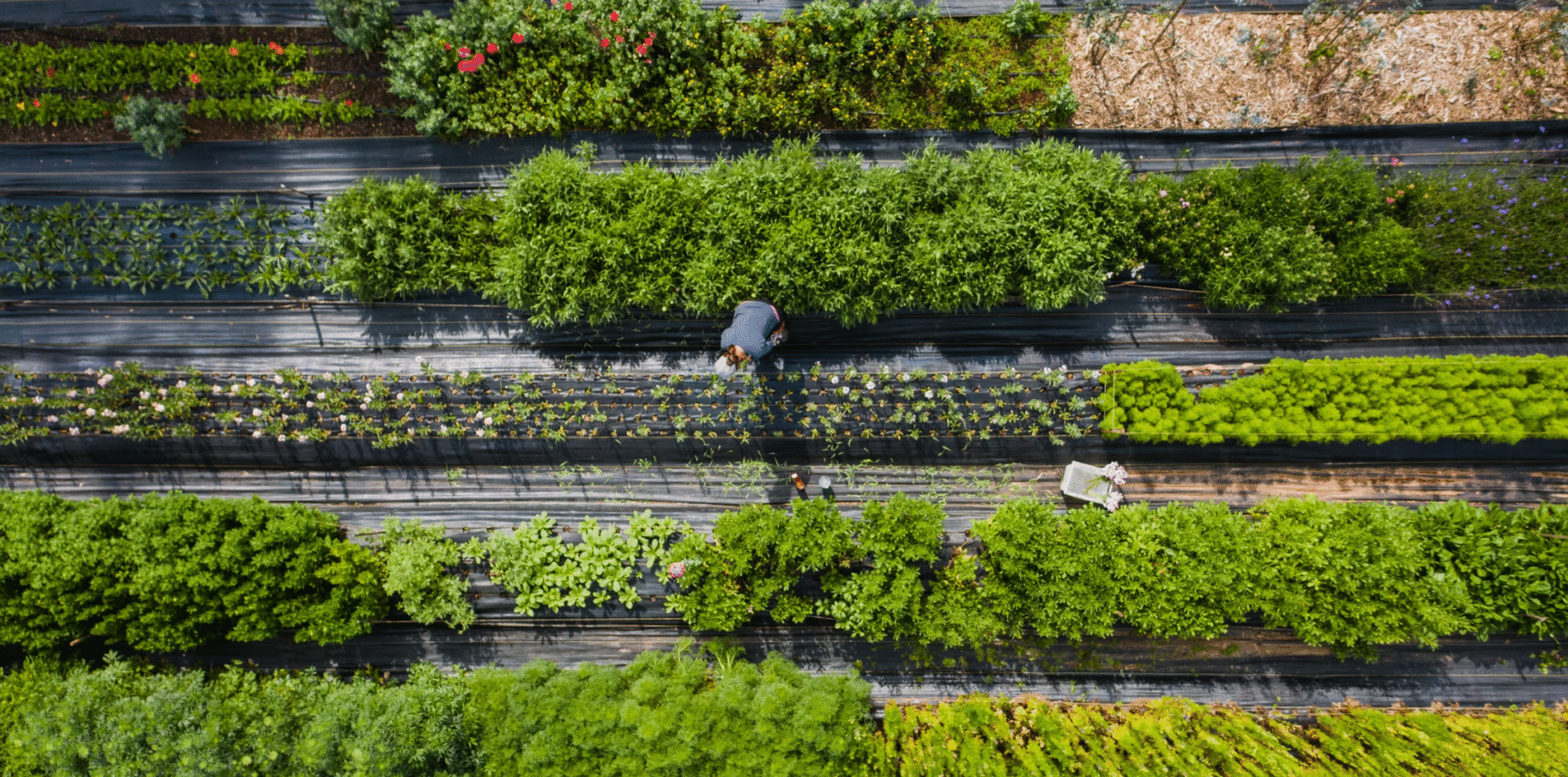Sustainability Values